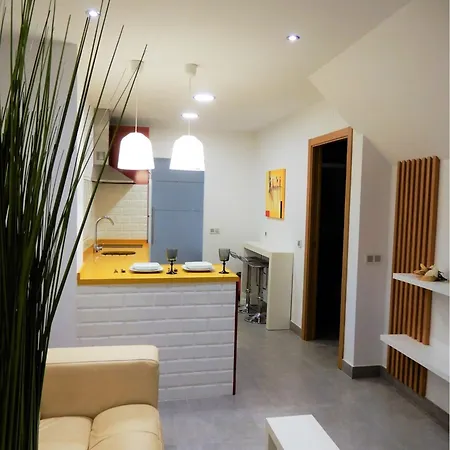 Apartment Romantico Estudio Centro De *